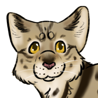 Thumbnail for ANI-3582: Black-Footed Cat (M)