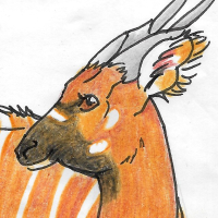 Thumbnail for ANI-3583: Bongo (F)