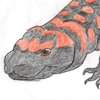 Thumbnail for ANI-3587: Gila Monster (M)