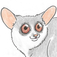 Thumbnail for ANI-3588: Senegal Bushbaby (F)