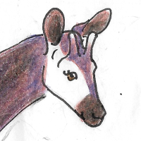 Thumbnail for ANI-3590: Okapi (F)