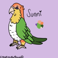 Thumbnail for ANI-3601: Sunni