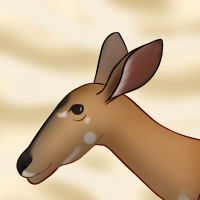 Thumbnail for ANI-3605: Nyala (F)