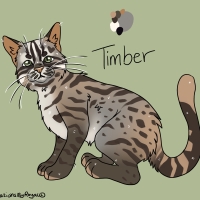 Thumbnail for ANI-3608: Timber