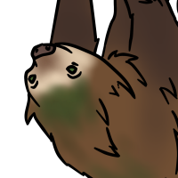 Thumbnail for ANI-3610: Hoffmann's two-toed sloth (M)