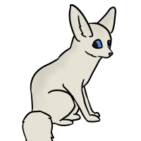 Thumbnail for ANI-3611: Fennec Fox (F)