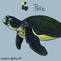 Thumbnail of ANI-3617: Pete