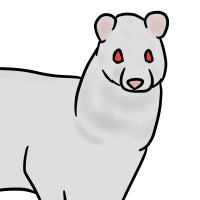 Thumbnail for ANI-3621: Albino Malabar Large-spotted Civet (M)