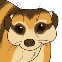 Thumbnail for ANI-3627: Meerkat (F)