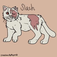 Thumbnail for ANI-3641: Albino Sand Cat (M)