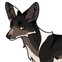 Thumbnail for ANI-3644: Piebald Alexander Archipelago Wolf/Fennec Fox (M)