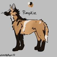 Thumbnail for ANI-3647: Pumpkin