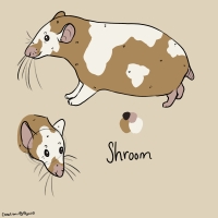 Thumbnail for ANI-3660: Shroom