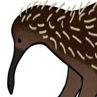Thumbnail for ANI-3686: Attenborough’s echidna (F)