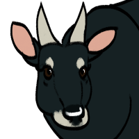 Thumbnail for ANI-3687: Anoa (F)
