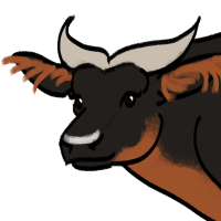Thumbnail for ANI-3689: African Forest Buffalo (M)