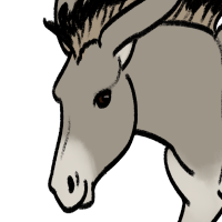Thumbnail for ANI-3691: African Wild Ass (F)