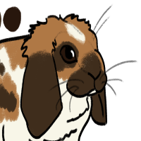 Thumbnail for ANI-3699: Baranek
