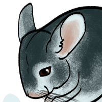 Thumbnail for ANI-3700: Long-tailed Chinchilla (M)