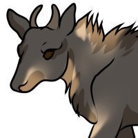 Thumbnail for ANI-3703: Sumatran Serow (F)