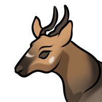Thumbnail for ANI-3704: Bushbuck (M)
