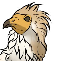Thumbnail for ANI-3707: Egyptian Vulture (F)