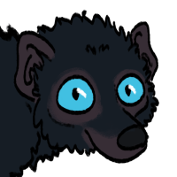 Thumbnail for ANI-3711: Blue-Eyed Black Lemur (M)