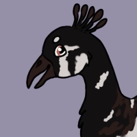 Thumbnail for ANI-3726: Species-Specific Indian Peafowl (F)
