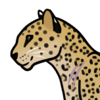 Thumbnail for ANI-262: African Leopard (M)