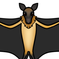 Thumbnail for ANI-264: Straw-colored Fruit Bat (M)