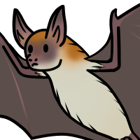 Thumbnail for ANI-266: Rufous Mouse-Eared Bat (F)