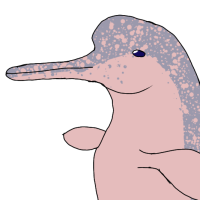 Thumbnail for ANI-298: Amazon River Dolphin (M)