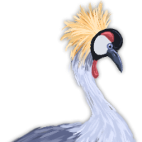 Thumbnail for ANI-305: Grey Crowned Crane (M)