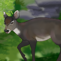 ANI-375: Tufted Deer (M)