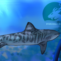 Thumbnail for ANI-381: Tiger Shark (M)