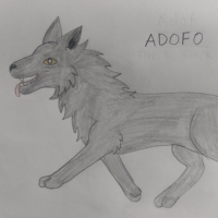 Thumbnail for ANI-394: Florida Black Wolf (M)