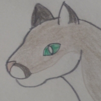 Thumbnail for ANI-395: Cougar (F)