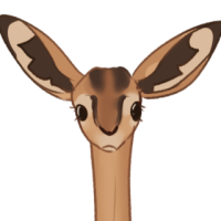 Thumbnail for ANI-412: Gerenuk (F)