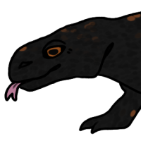 Thumbnail for ANI-3755: Obsidian