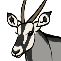 Thumbnail for ANI-3771: Gemsbok (M)