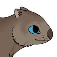 Thumbnail for ANI-3782: Common Wombat (M)