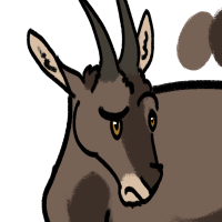 Thumbnail for ANI-3784: Alpine Ibex (F)