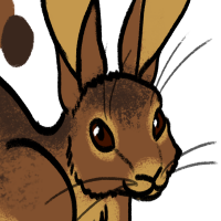 Thumbnail for ANI-3790: European Rabbit (F)