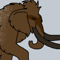 Thumbnail for ANI-3803: African Elephant x Woolly Mammoth (F)