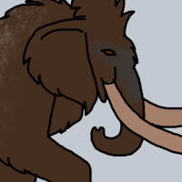 Thumbnail for ANI-3804: African Elephant x Woolly Mammoth (M)