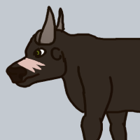 Thumbnail for ANI-3805: African Buffalo (F)