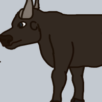 Thumbnail for ANI-3806: African Buffalo (F)