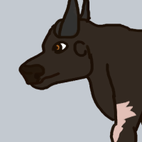 Thumbnail for ANI-3807: African Buffalo (F)