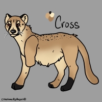Thumbnail for ANI-3817: Species-Specific Cheetah (M)