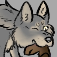 Thumbnail for ANI-3821: Blue Grey Wolf x Hybrid Canine (M)